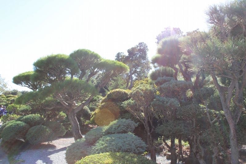Japanese Garden image. Click for full size.