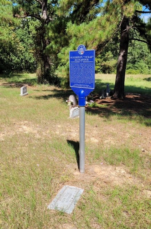 Algernon "Texas Alexander Marker and Gravestone (flat on ground) image. Click for full size.