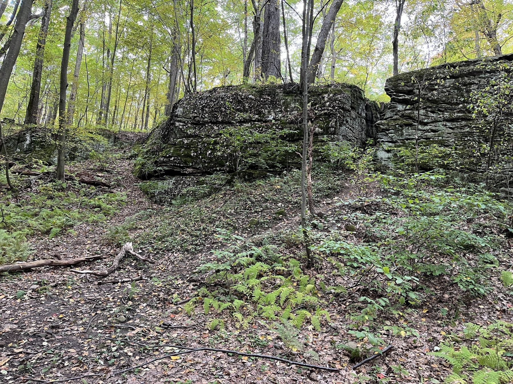 Outcropping from French Camp image. Click for full size.