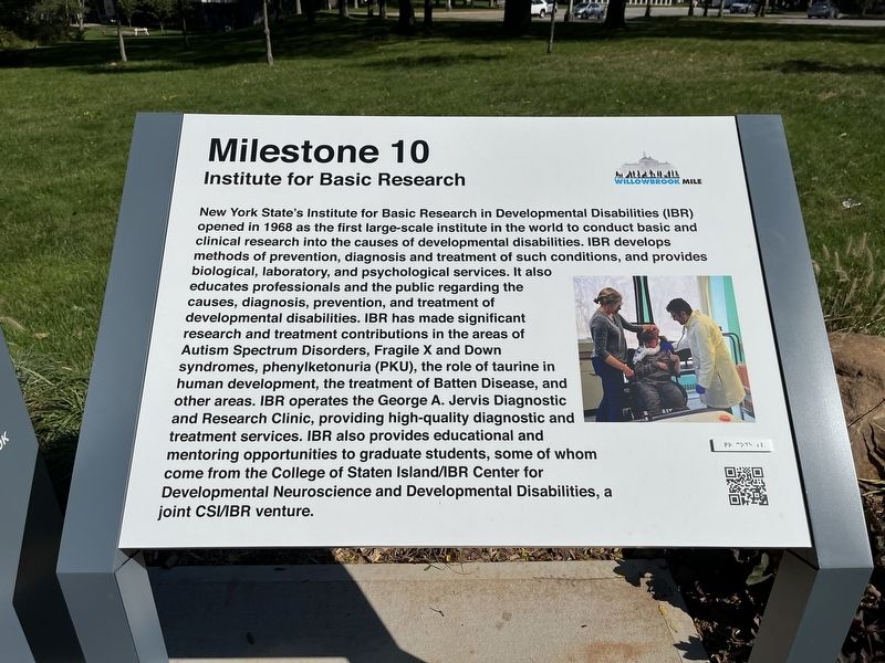 Institute for Basic Research Marker. Click for full size. Institute for Basic Research Marker image. Click for full size.