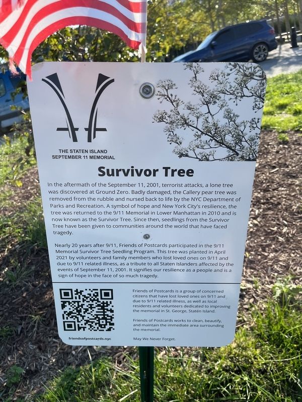 Survivor Tree Seedling Program