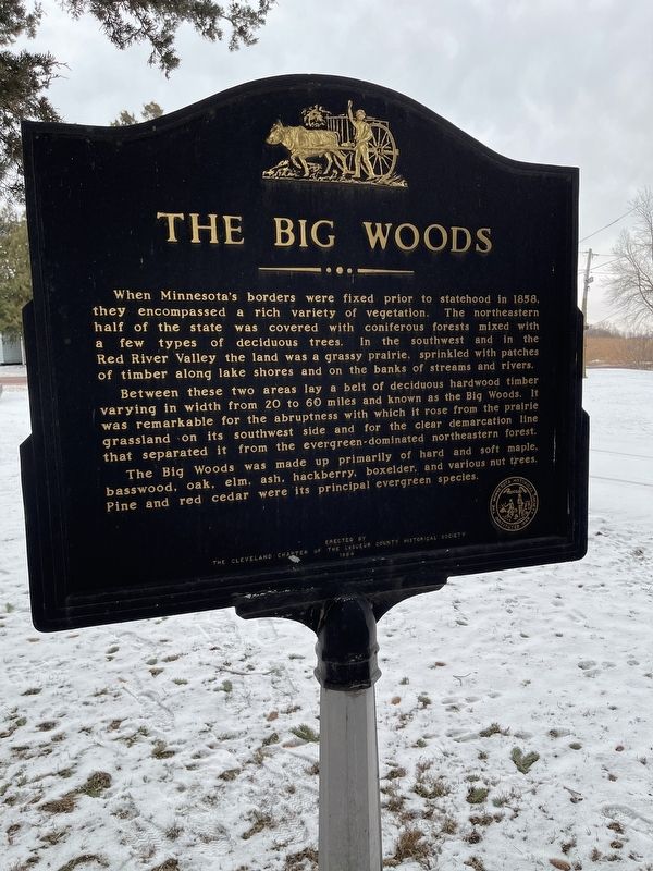 The Geldner Mill / The Big Woods Marker image. Click for full size.