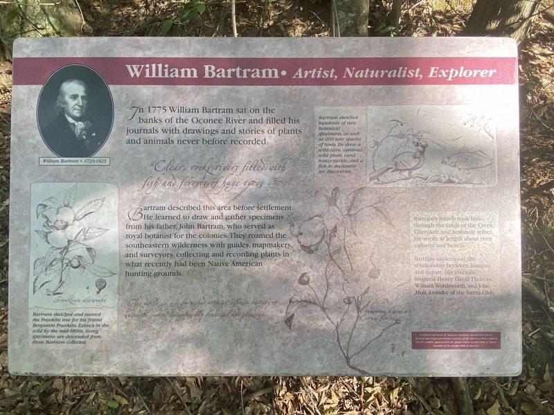 William Bartram Marker. Click for full size. William Bartram Marker image. Click for full size.
