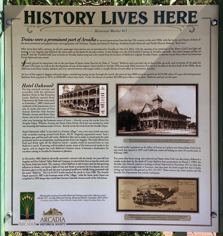 Depots and Hotel Oakwood Marker image. Click for full size.