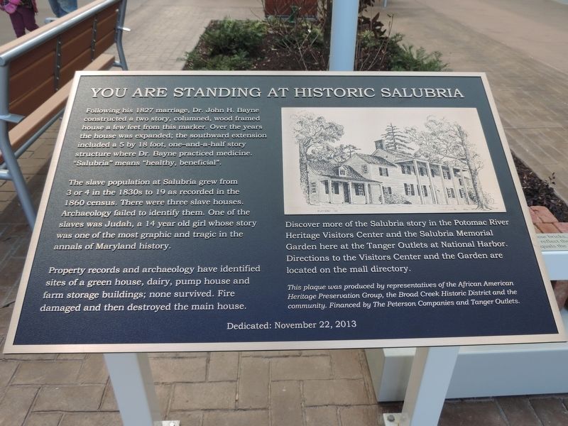 You Are Standing at Historic Salubria Marker image. Click for full size.