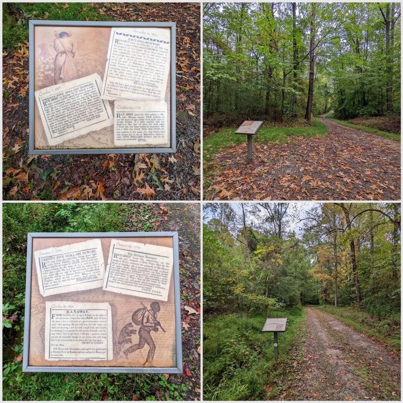 Halifax Runaway Ads Markers. Click for full size. Halifax Runaway Ads Markers image. Click for full size.
