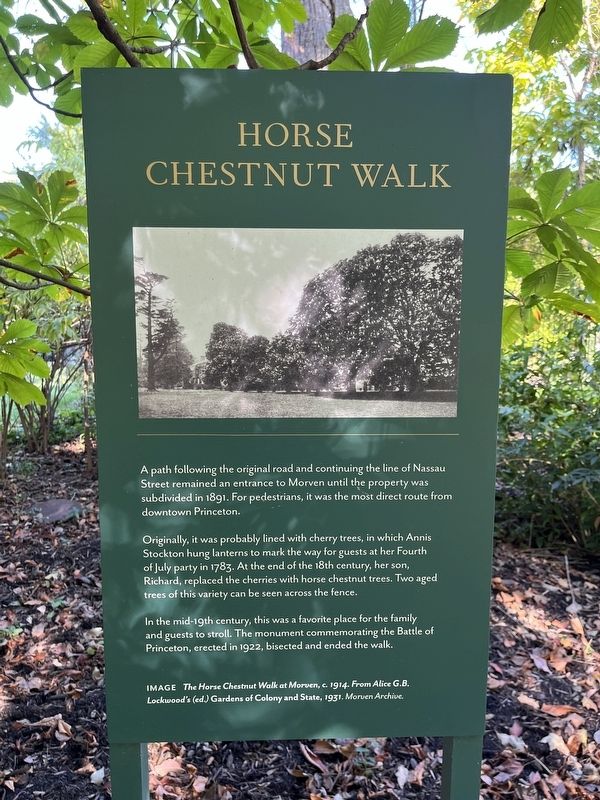 Horse Chestnut Walk Marker image. Click for full size.