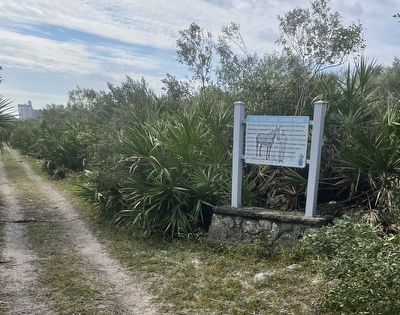 The Old Coast Guard Road Marker image. Click for full size.