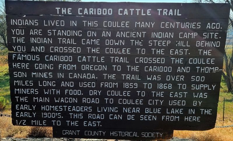 The Cariboo Cattle Trail Marker image. Click for full size.