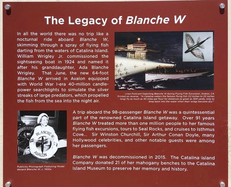 <i>Blanche W </i>Marker image. Click for full size.