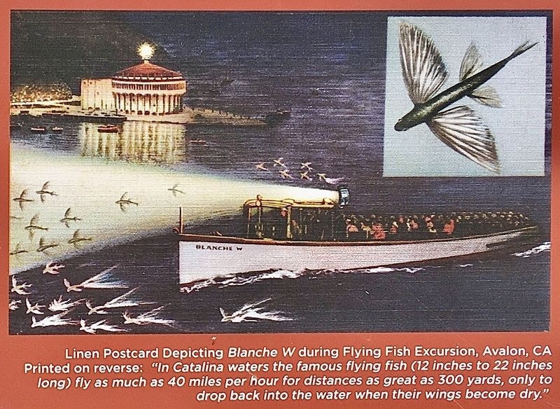 Marker Detail - The Flying Fish Boat image. Click for full size.