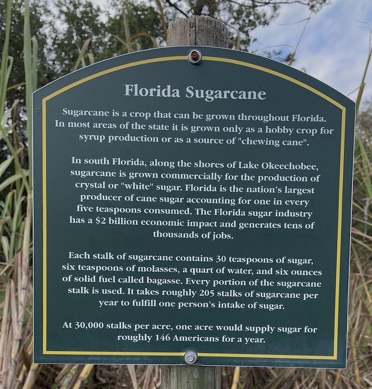Florida Sugarcane Marker image. Click for full size.