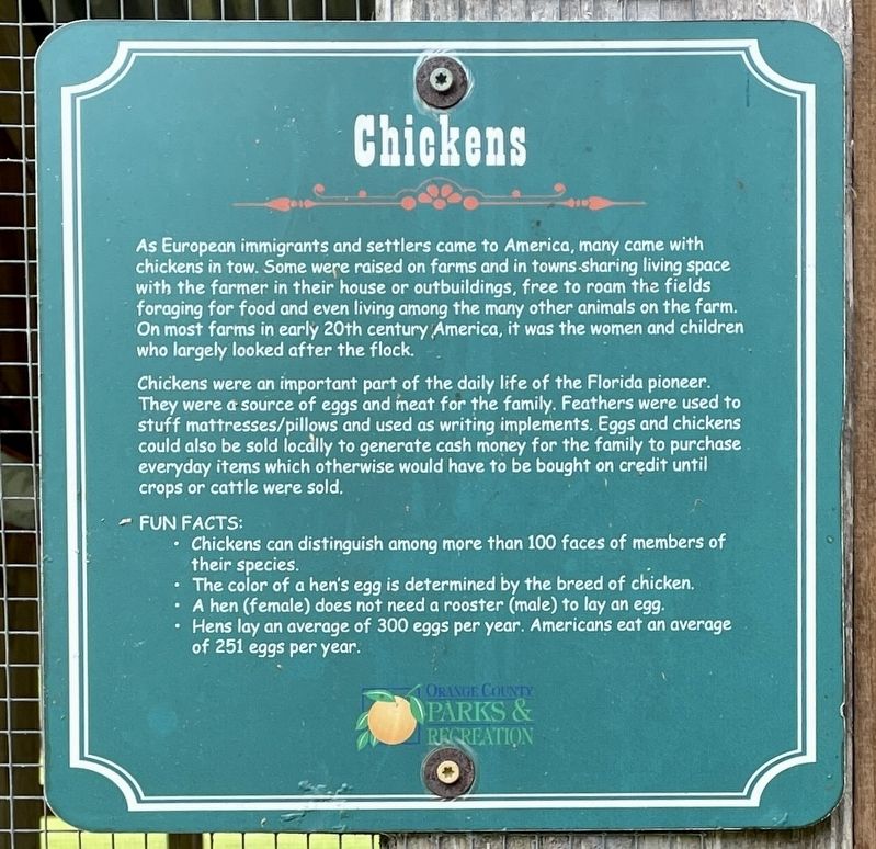 Chickens Marker image. Click for full size.