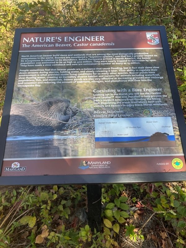 Nature's Engineer Marker image. Click for full size.