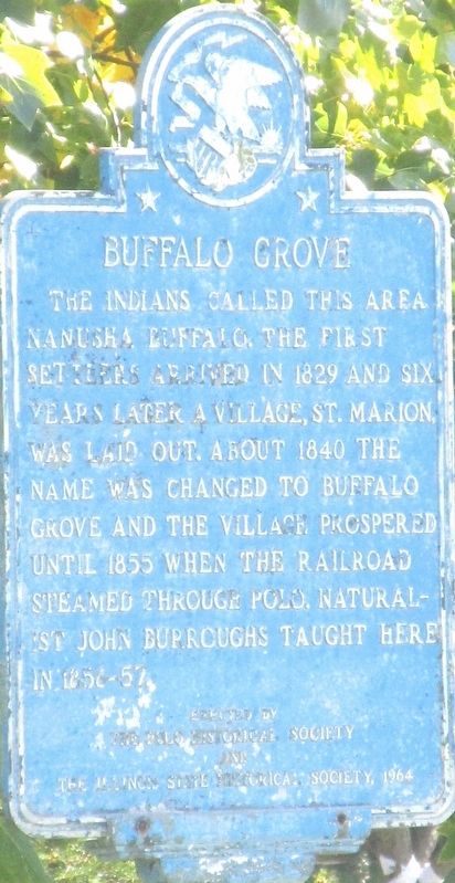 Buffalo Grove Marker. Click for full size. Buffalo Grove Marker image. Click for full size.