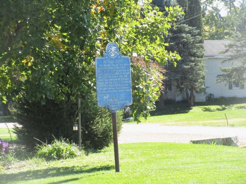 Buffalo Grove Marker. Click for full size. Buffalo Grove Marker image. Click for full size.