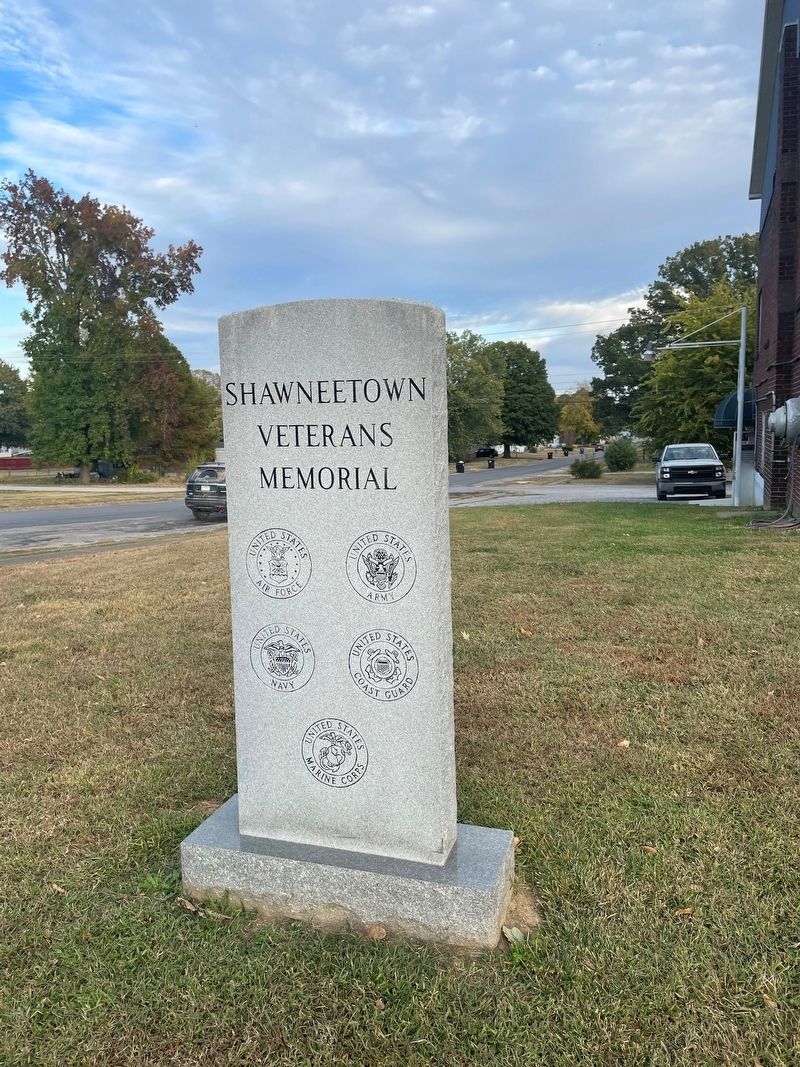 Shawneetown Veterans Memorial image. Click for full size.
