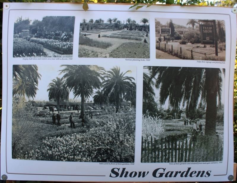 Show Gardens Marker image. Click for full size.