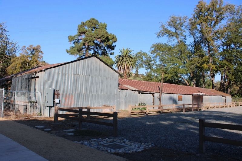 Rear of the Packing Shed. Click for full size. Rear of the Packing Shed image. Click for full size.
