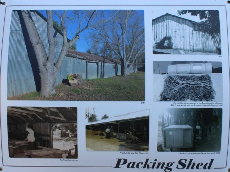 Packing Shed Marker image. Click for full size.