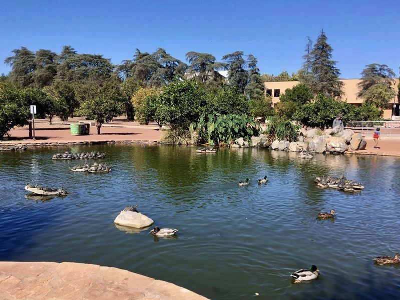 Duck Pond image. Click for full size.