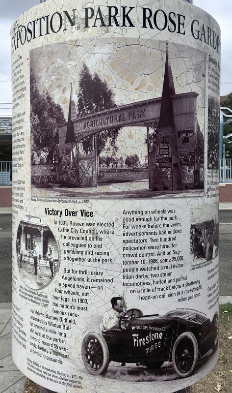 Exposition Park Rose Garden Marker image. Click for full size.