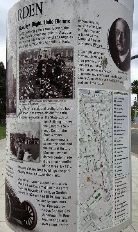 Exposition Park Rose Garden Marker image. Click for full size.