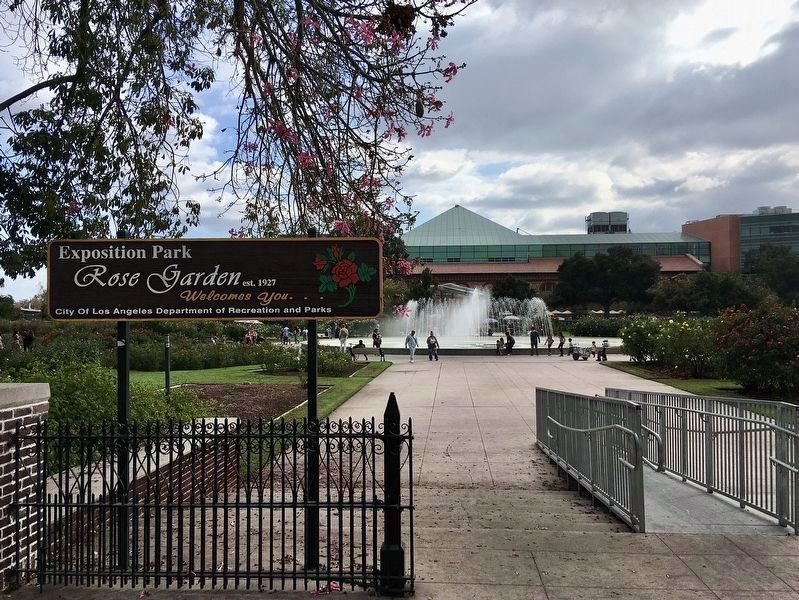 Exposition Park Rose Garden image. Click for full size.