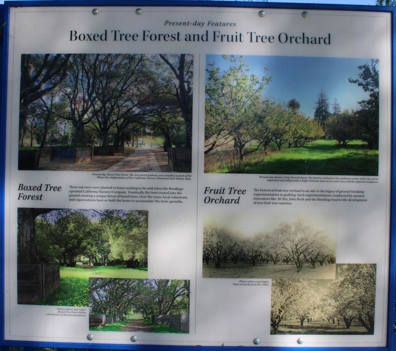 Boxed Tree Forest and Fruit Tree Orchard Marker image. Click for full size.