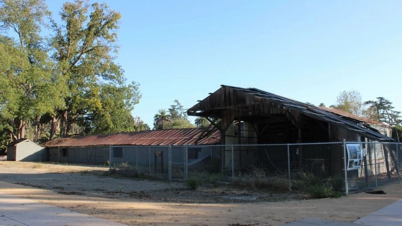 Packing Shed image. Click for full size.