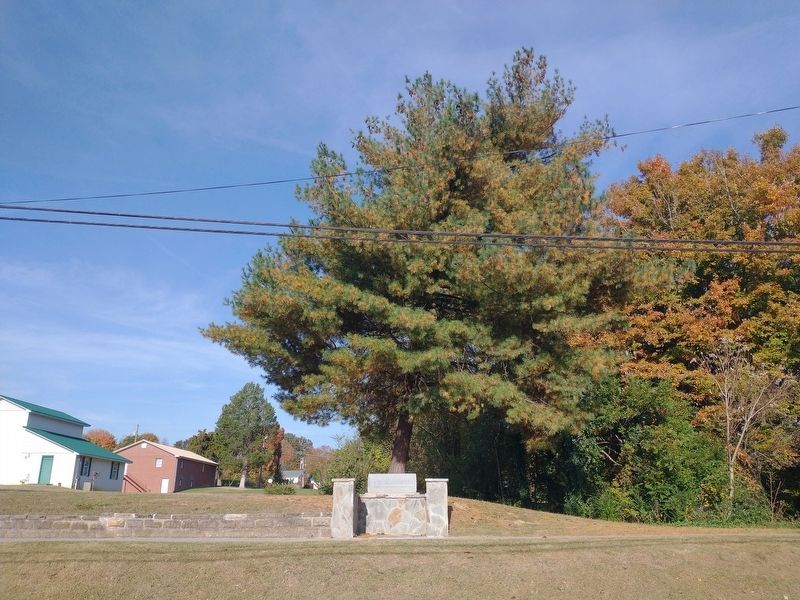 White Pine Marker. Click for full size. White Pine Marker image. Click for full size.