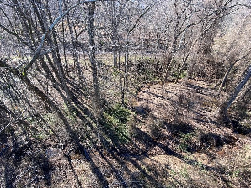 The area of woods containing the Farmers Home Cemetery. Click for full size. The area of woods containing the Farmers Home Cemetery image. Click for full size.
