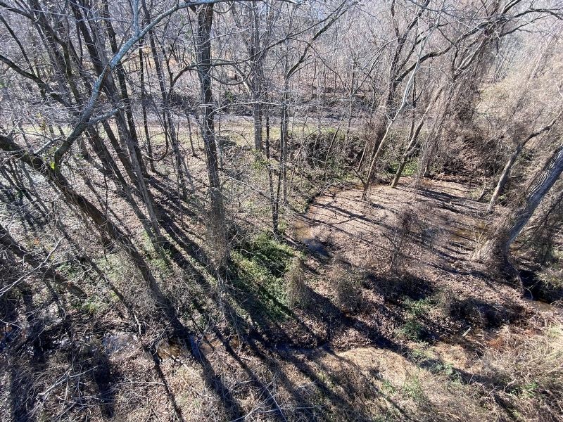 The area of woods containing the Farmers Home Cemetery image. Click for full size.