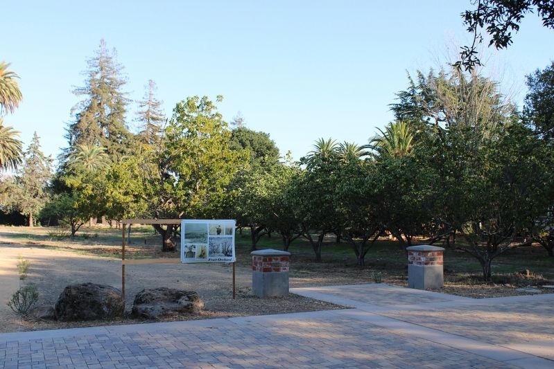 Fruit Orchard image. Click for full size.