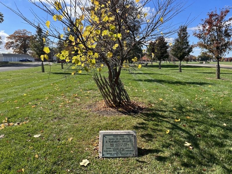 This Tree Honors the Memory of E. Frederic Wright Marker image. Click for full size.