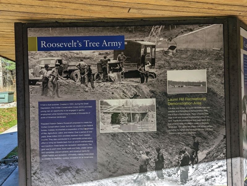 Roosevelt's Tree Army Marker image. Click for full size.
