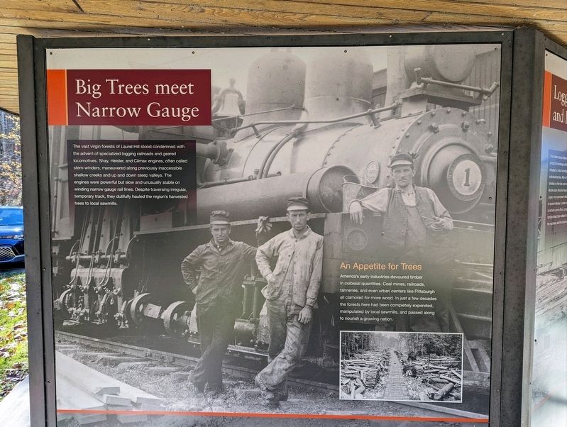 Big Trees meet Narrow Gauge Marker image. Click for full size.
