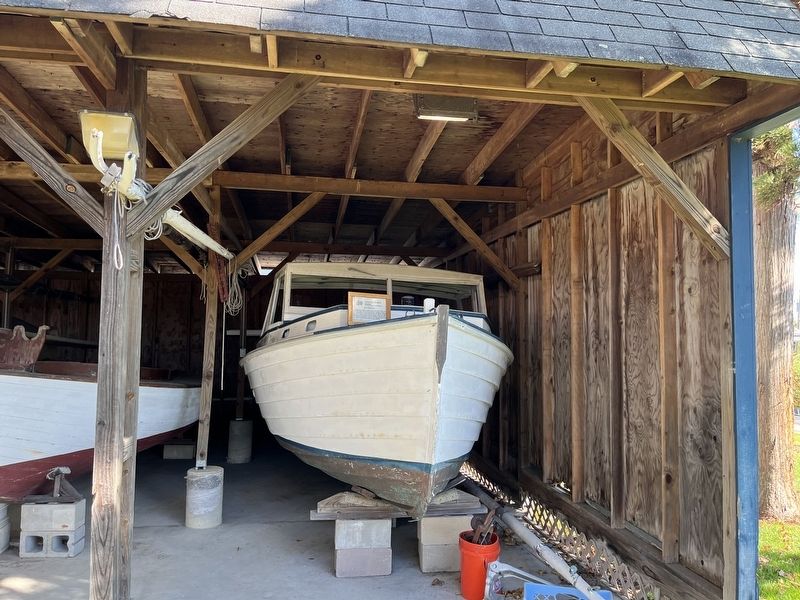Sea Biscuit Display image. Click for full size.
