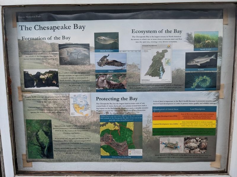 The Chesapeake Bay Marker image. Click for full size.