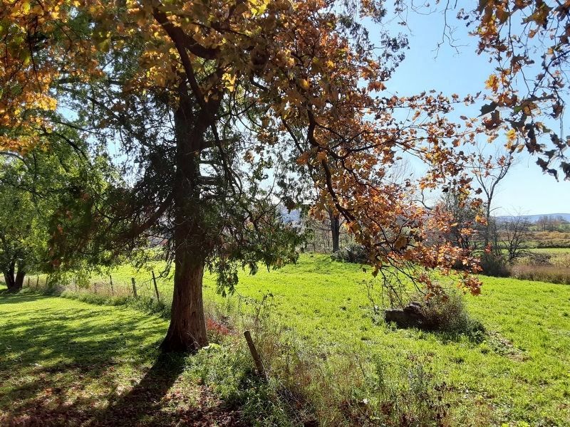 Approximate location of apple tree mentioned on marker image. Click for full size.