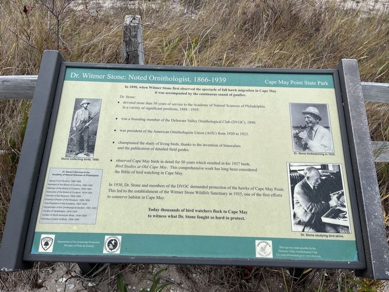 Dr. Witmer Stone: Noted Ornithologist, 1866 - 1939 Marker. Click for full size. Dr. Witmer Stone: Noted Ornithologist, 1866 - 1939 Marker image. Click for full size.