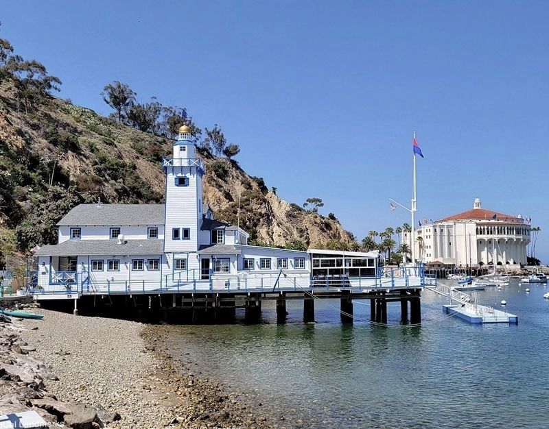 Catalina Island Yacht Club image. Click for full size.