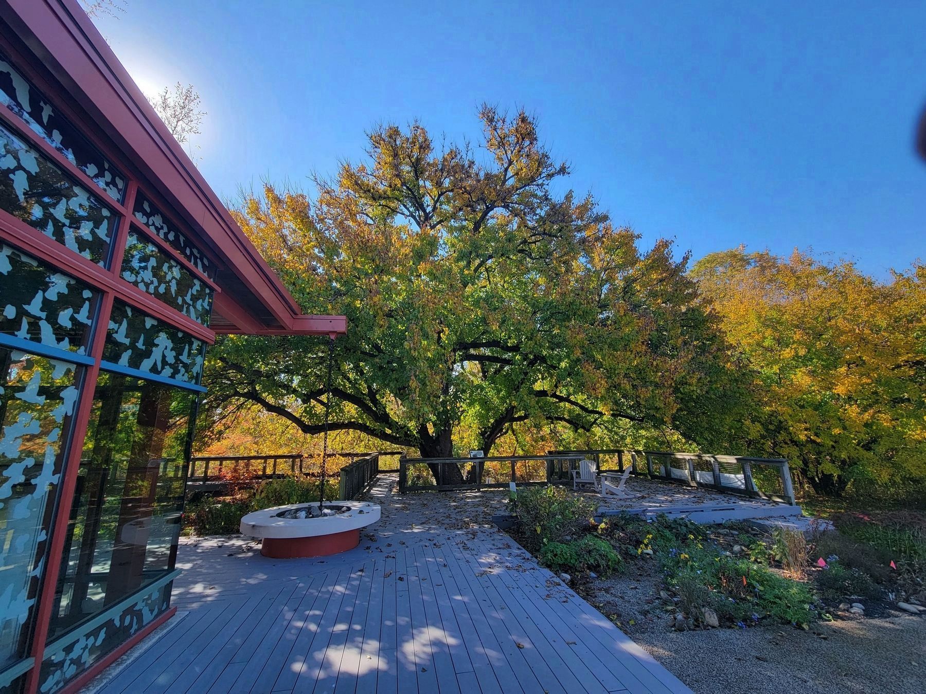 Heather’s Tree at the Grange Insurance Audubon Center Terrace in Columbus, Ohio. Click for full size. Heather’s Tree at the Grange Insurance Audubon Center Terrace in Columbus, Ohio image. Click for full size.