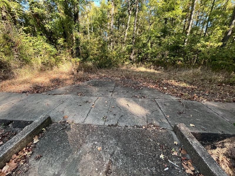 Old Driveway or Alleyway? image. Click for full size.