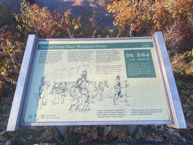 Forced From Their Mountain Home Marker. Click for full size. Forced From Their Mountain Home Marker image. Click for full size.