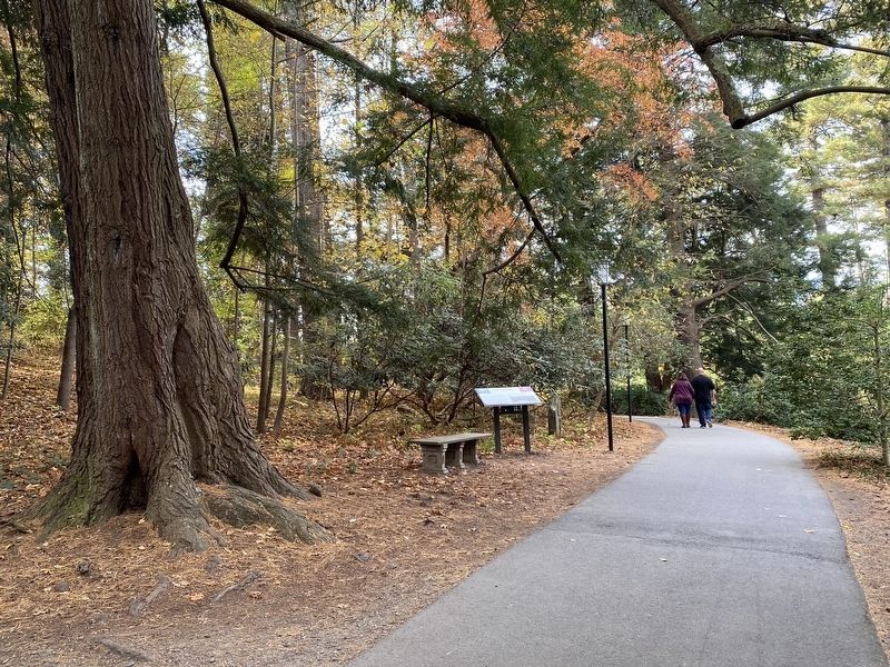 Frederick Law Olmsted & the Approach Road Marker. Click for full size. Frederick Law Olmsted & the Approach Road Marker image. Click for full size.