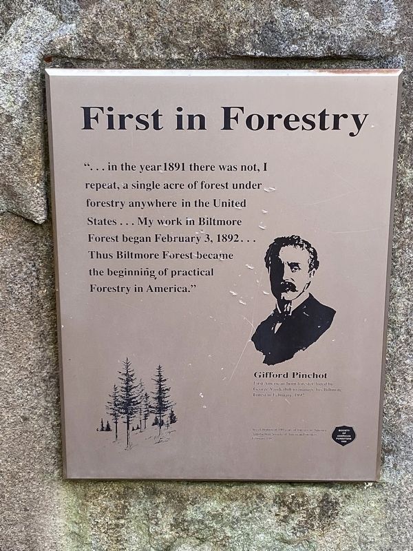 First in Forestry Marker. Click for full size. First in Forestry Marker image. Click for full size.