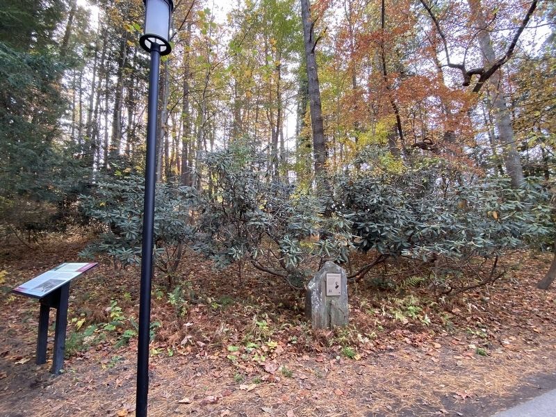 First in Forestry Marker. Click for full size. First in Forestry Marker image. Click for full size.