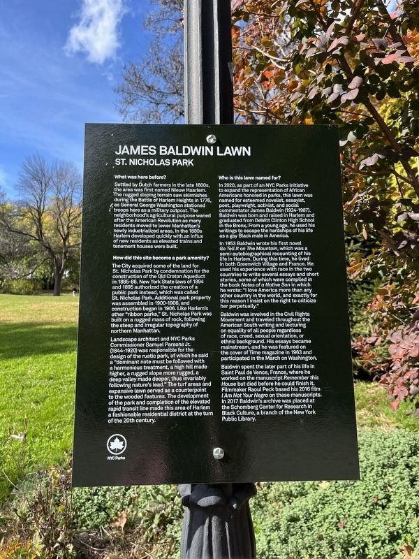 James Baldwin Lawn Marker image. Click for full size.