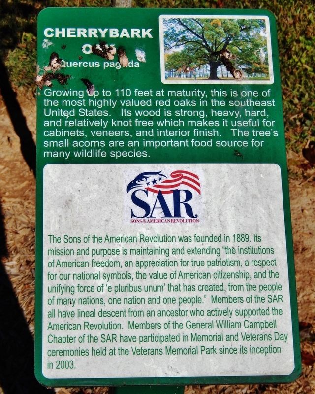 Sons of the American Revolution Marker image. Click for full size.